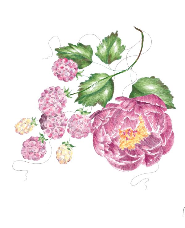 Illustration sans titre