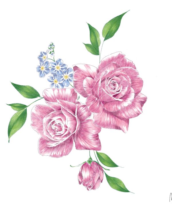 Illustration sans titre